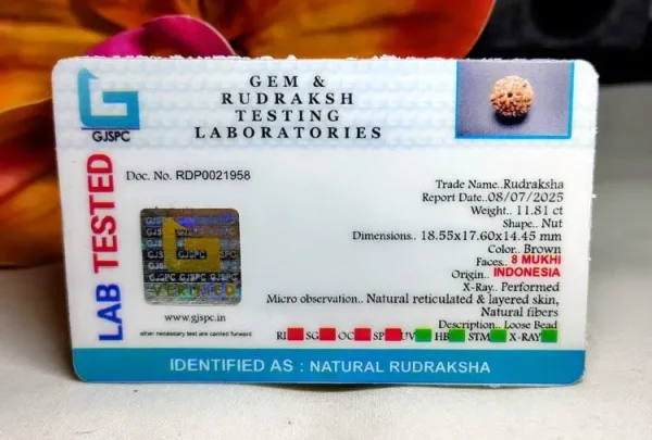 8 Mukhi Certificate
