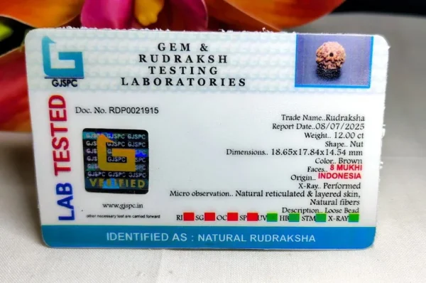 8 Mukhi Certificate