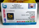 8 Mukhi Certificate
