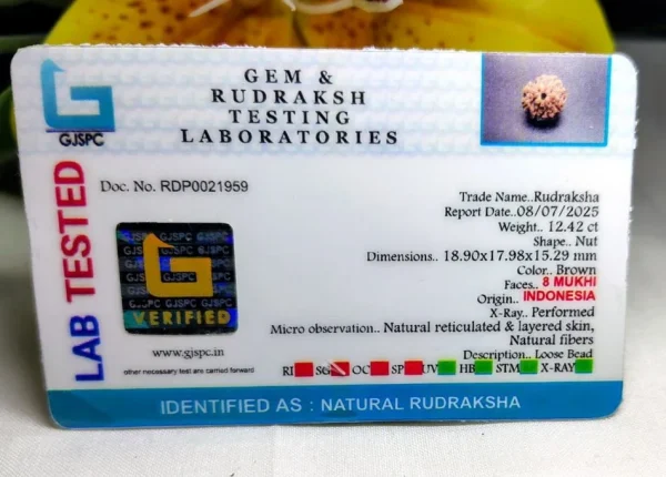 8 Mukhi Certificate