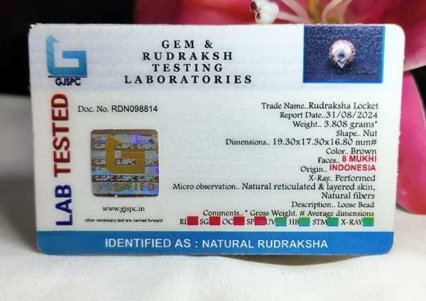 8 Mukhi Certificate