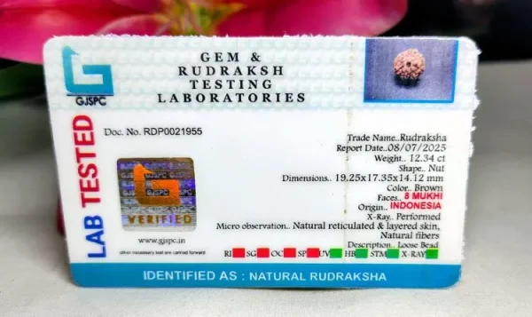 8 Mukhi Certificate