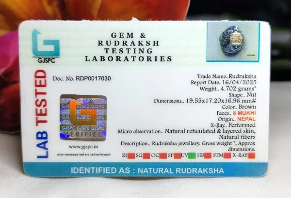 8 Mukhi Certificate