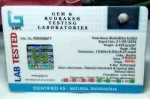 8 Mukhi Certificate