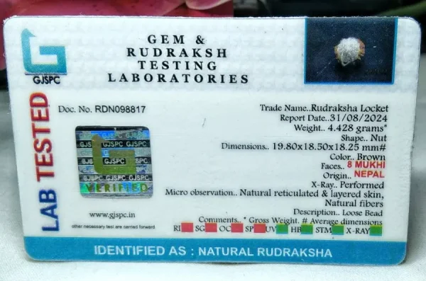 8 Mukhi Certificate
