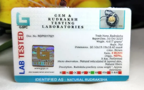 8 Mukhi Certificate