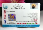 8 Mukhi Certificate