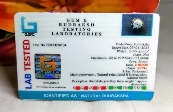 8 Mukhi Certificate