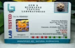 8 Mukhi Certificate