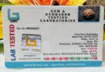 8 Mukhi Certificate