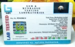 8 Mukhi Certificate