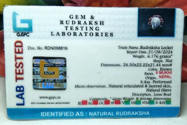 8 Mukhi Certificate