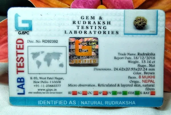 8 Mukhi Certificate