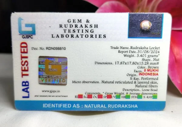 8 Mukhi Certificate