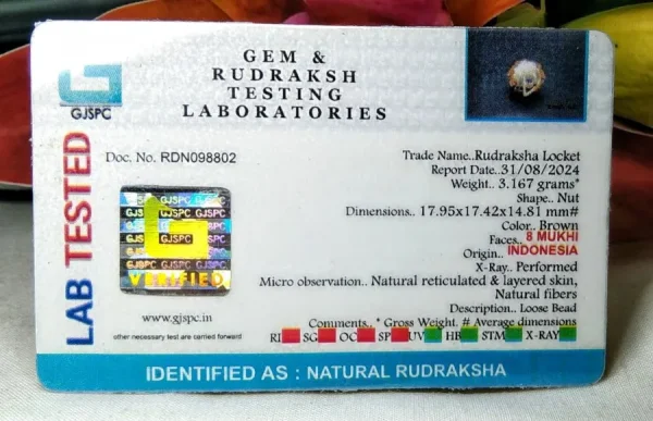 8 Mukhi Certificate