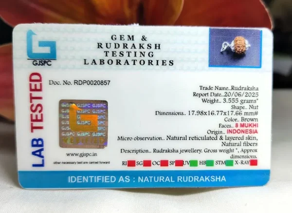 8 Mukhi Certificate