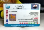 8 Mukhi Certificate