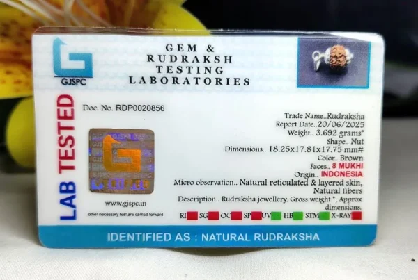 8 Mukhi Certificate