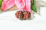 8 Mukhi Gaurishankar Rudraksha