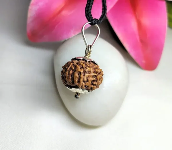 8 Mukhi Rudraksha
