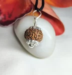 8 Mukhi Rudraksha