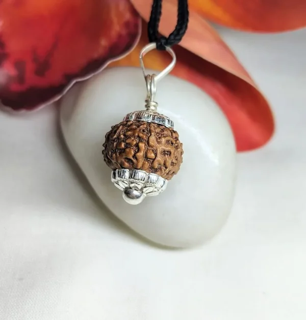 8 Mukhi Rudraksha