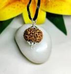 8 Mukhi Rudraksha