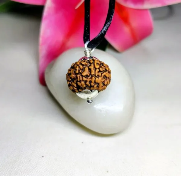 8 Mukhi Rudraksha