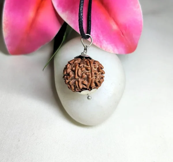 8 Mukhi Rudraksha