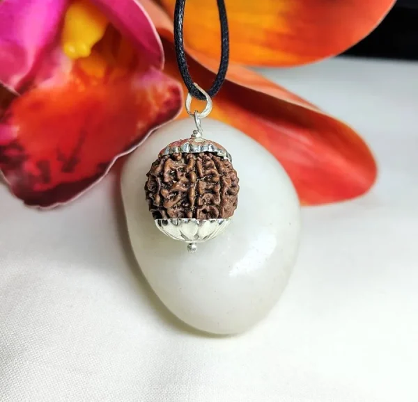 8 Mukhi Rudraksha
