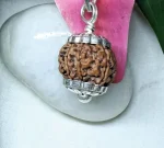 8 Mukhi Rudraksha