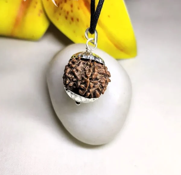 8 Mukhi Rudraksha