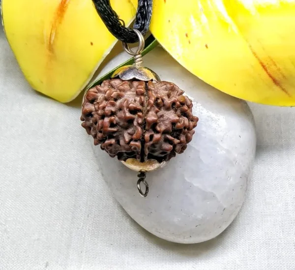 8 Mukhi Rudraksha