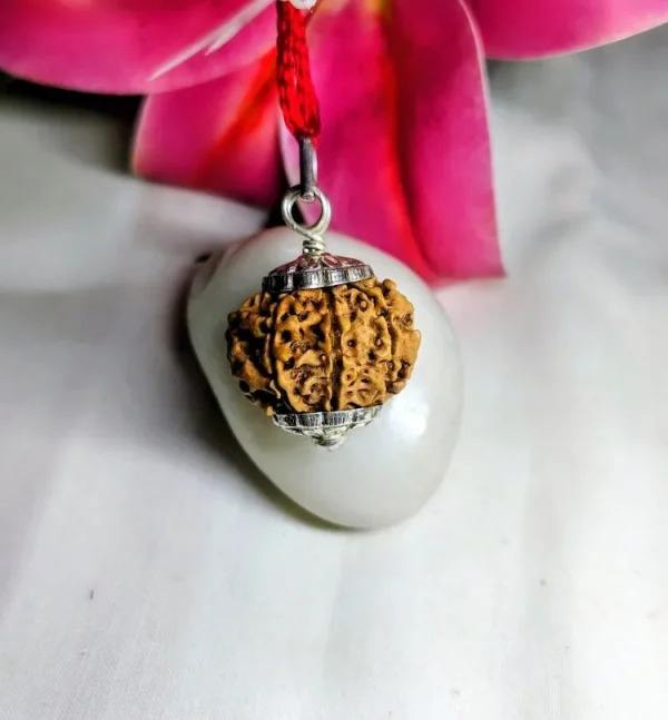 8 Mukhi Rudraksha
