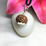 8 Mukhi Rudraksha