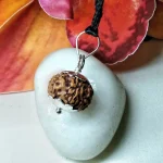 8 Mukhi Rudraksha