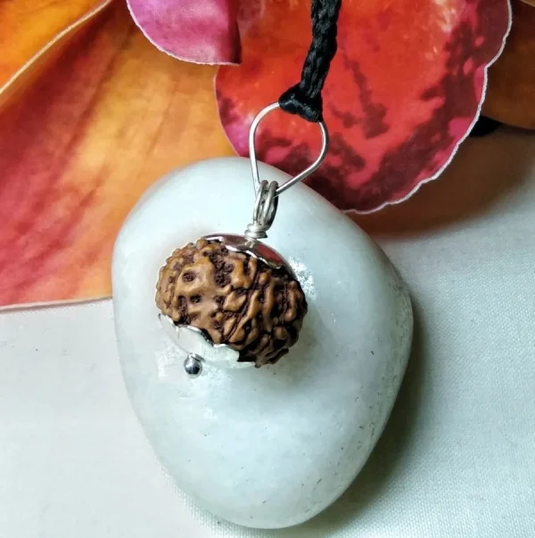 8 Mukhi Rudraksha