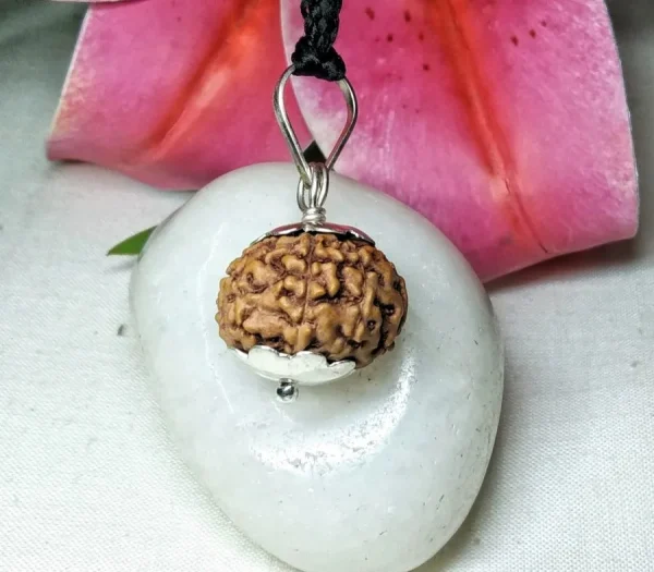8 Mukhi Rudraksha