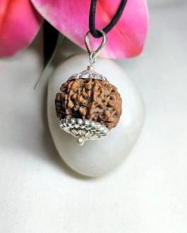 8 Mukhi Rudraksha