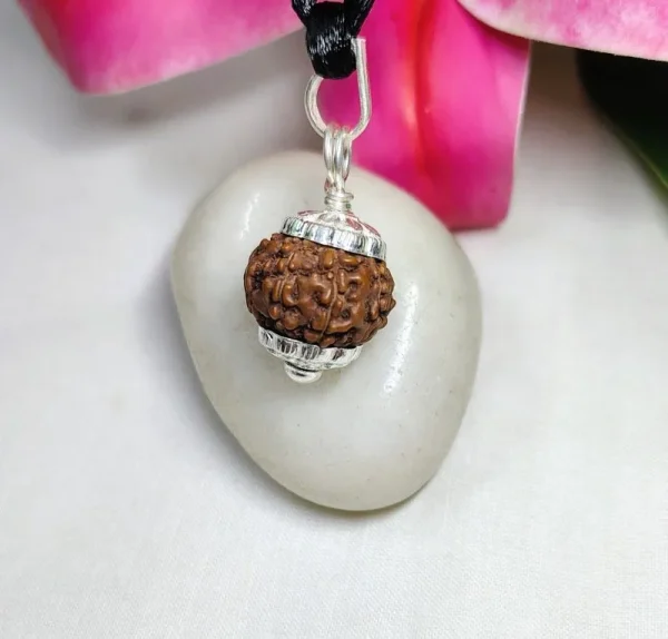 8 Mukhi Rudraksha
