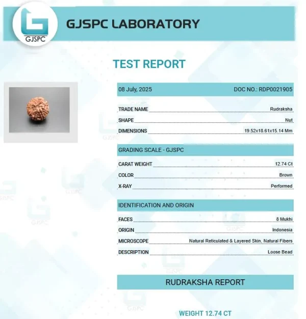 8 Mukhi Certificate