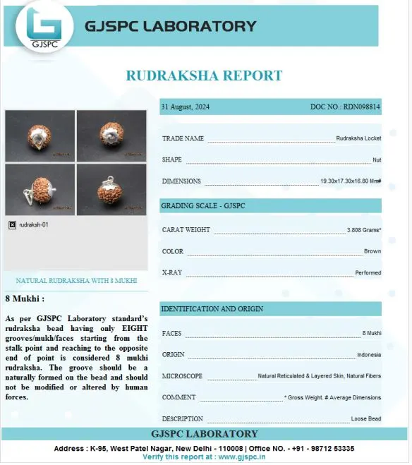 8 Mukhi Certificate