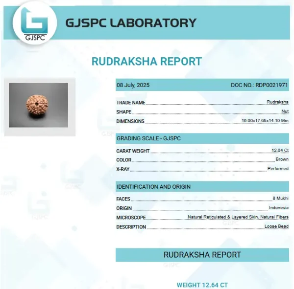 8 Mukhi Certificate