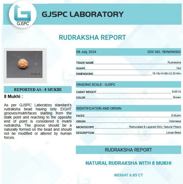 8 Mukhi Certificate