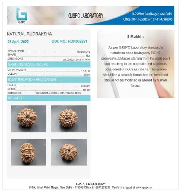 8 Mukhi Certificate