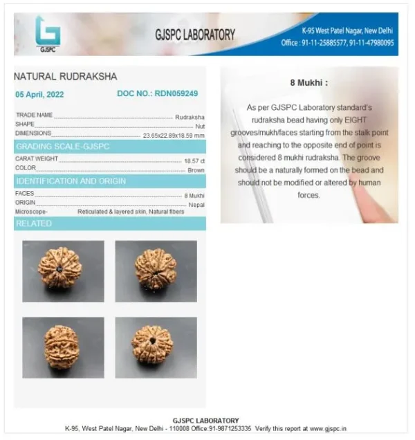 8 Mukhi Certificate