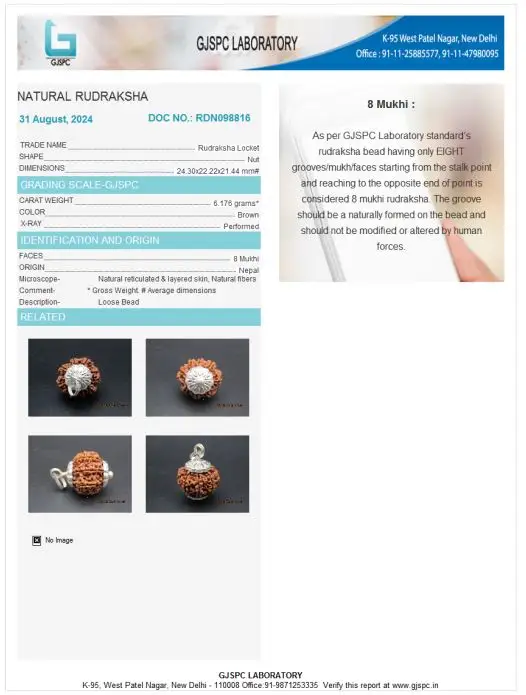8 Mukhi Certificate
