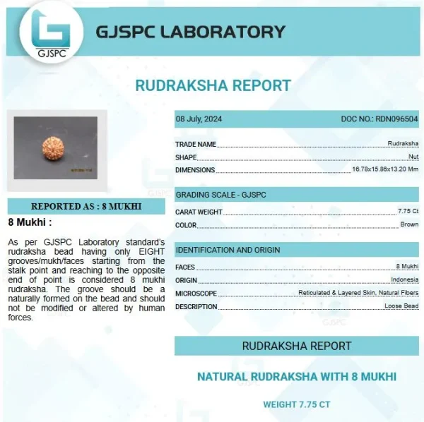 8 Mukhi Certificate