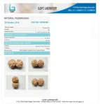 8 Mukhi Certificate