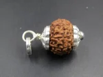 8 Mukhi Rudraksha